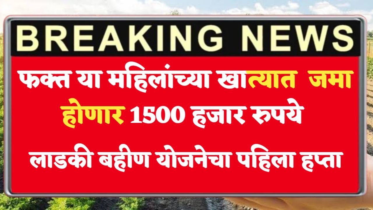 mazi ladki bahin yojana